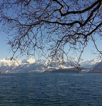 Studio In * Oberhofen