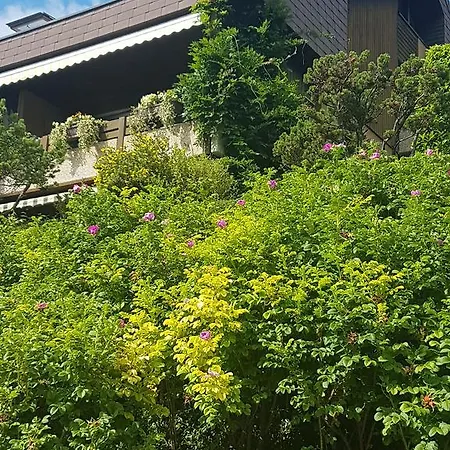 アパート Studio In オーバーホーフェン